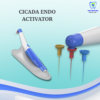 Cicada Endo Activator