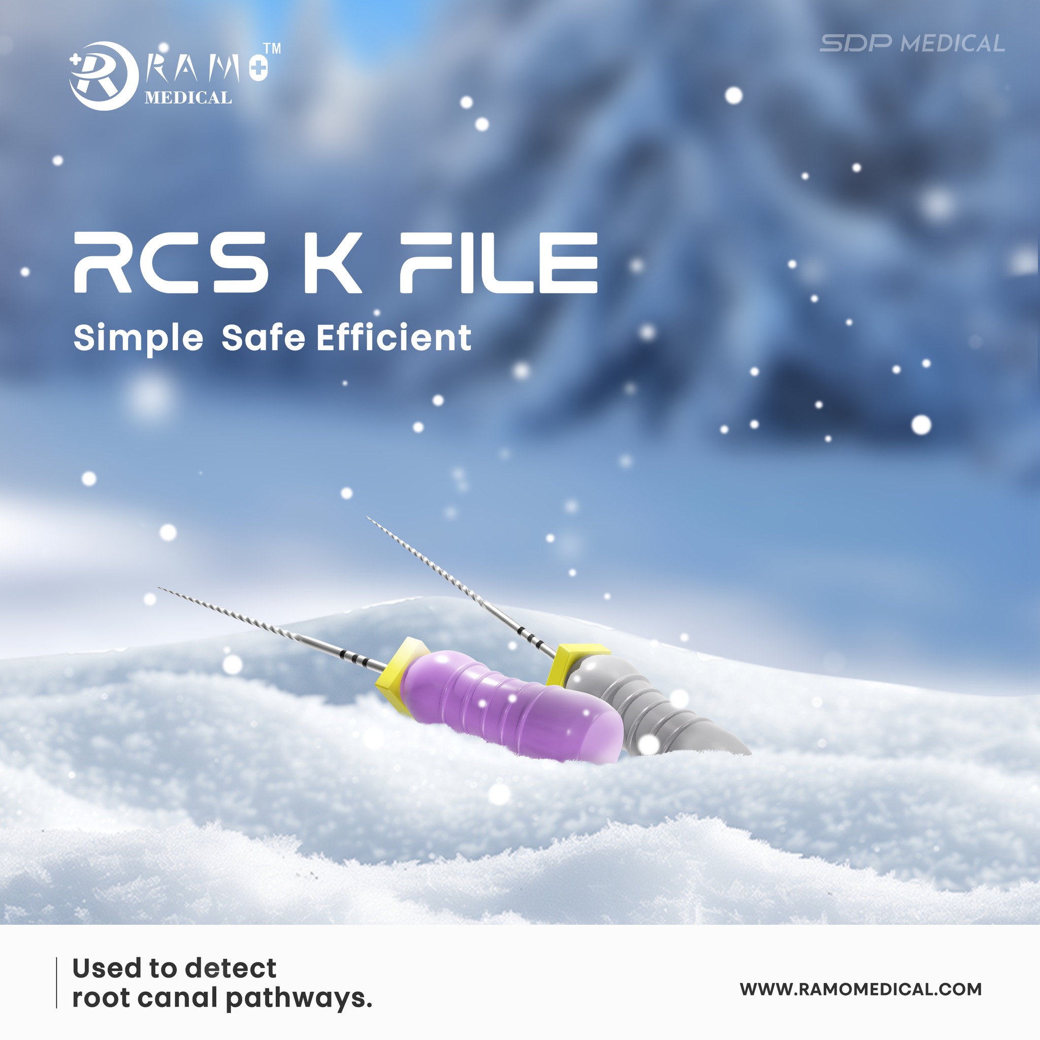 488250846_1034746188706848_4112837897753308317_n