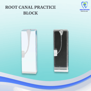 Root Canal Practice Block